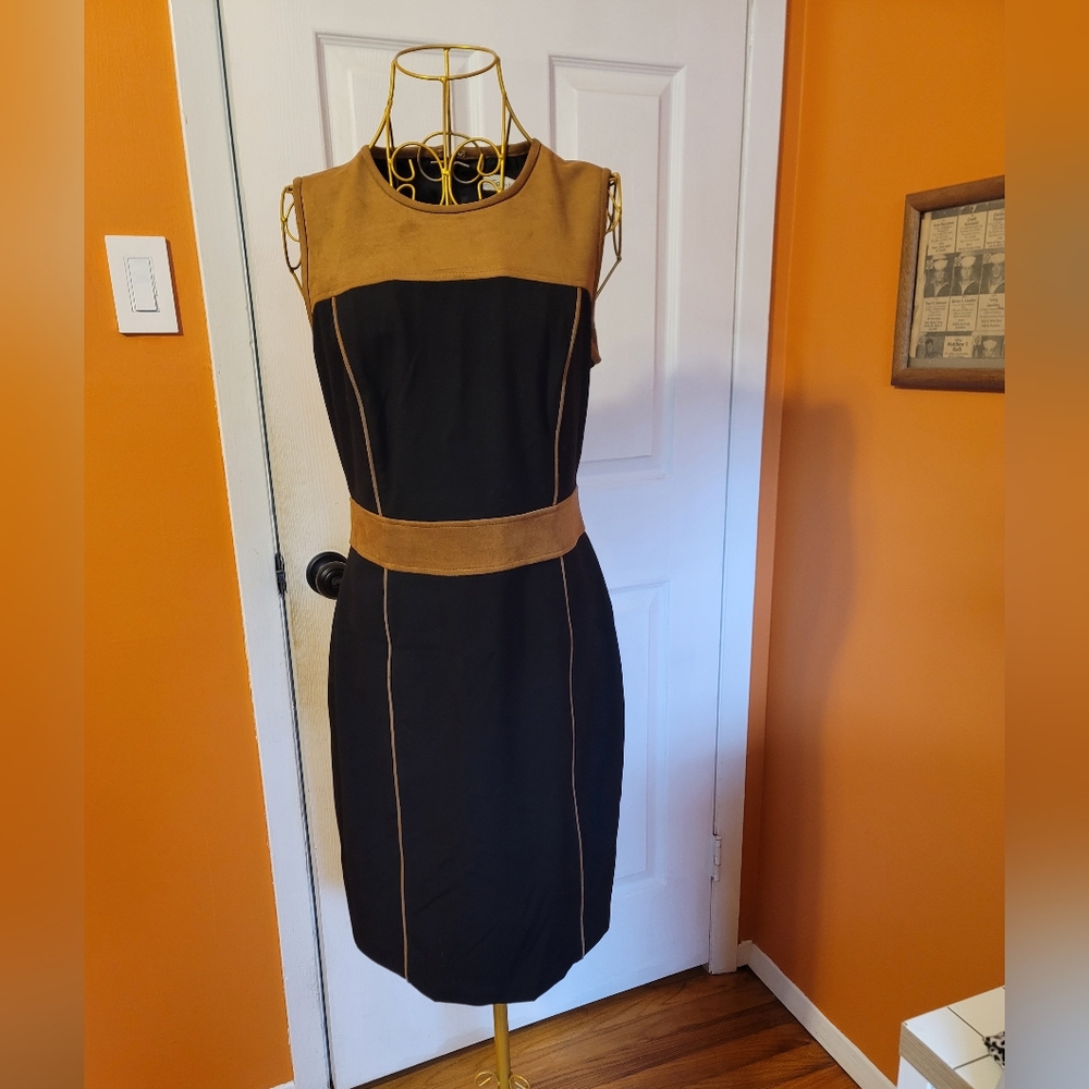 Elegant Black and Tan Dress
